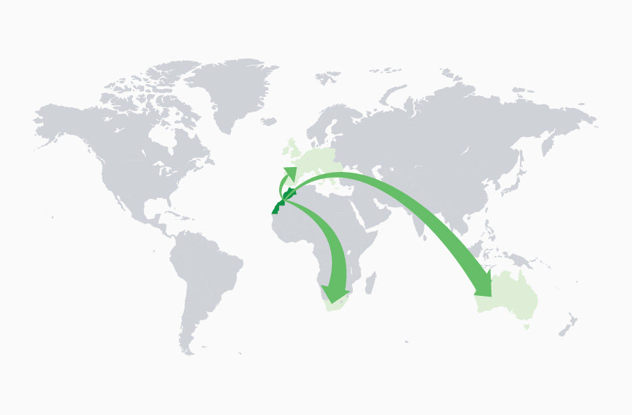 https://beldiyaplus.com/wp-content/uploads/2025/08/cannaflex-network-map.jpg